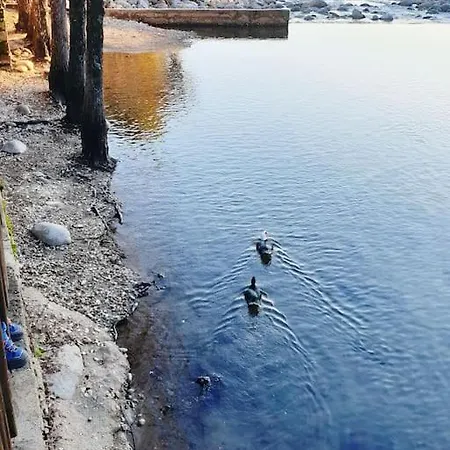 Vivienda Candemor * קנדלדה